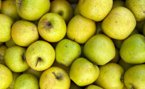 Mere Golden, ECO, 4 buc