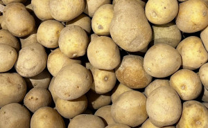 Cartofi albi, ECO, 1kg (SVM)