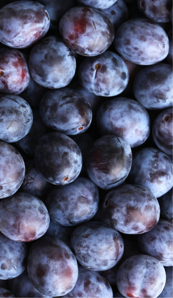 Prune Anna Spath ECO pt gem, 3kg