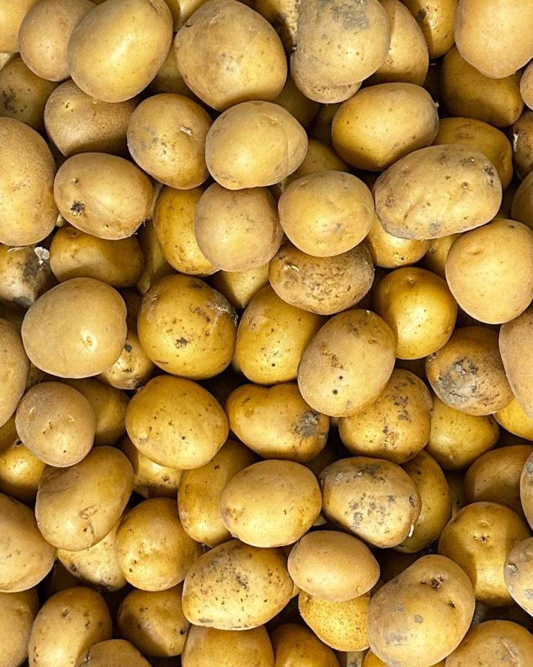 Cartofi albi mici, ECO, 1 kg