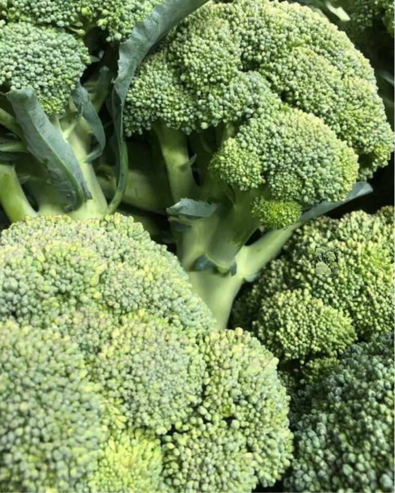 Broccoli romanesc, ECO, 1 buc min 550g
