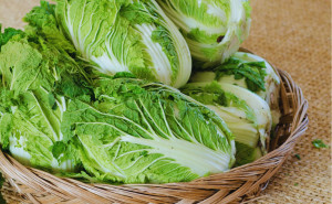 Varza chinezesca, ECO, 1 buc