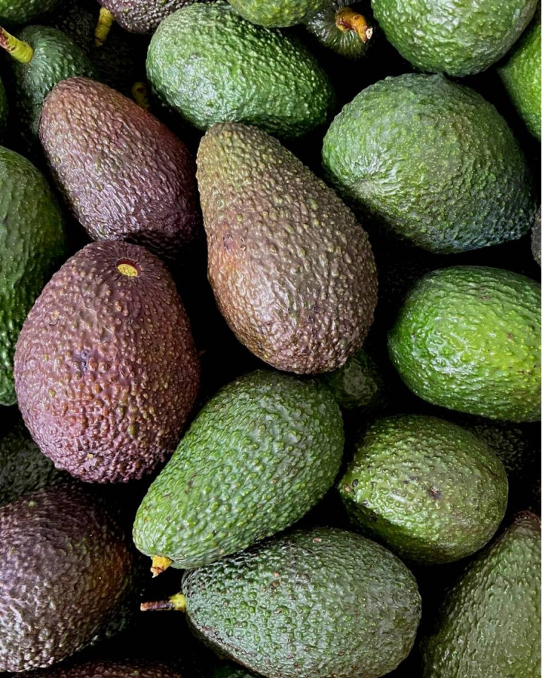 Avocado Hass, ECO, 1 buc