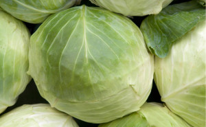 Varza alba, ECO, 1 buc (min 500g)