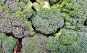 Broccoli, ECO, 1buc (aprox 400g)