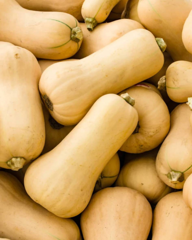 Dovleac Butternut, ECO, 1 buc (aprox 2 kg)