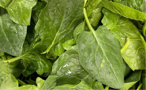 Spanac romanesc ECO, 400g