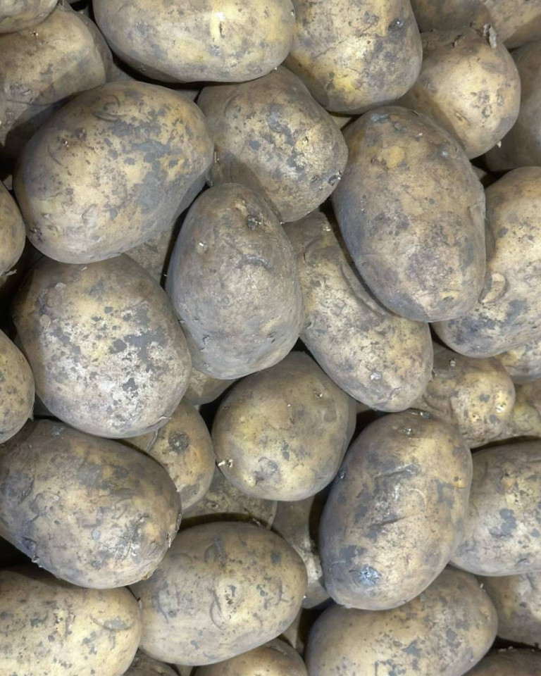 Cartofi albi noi, ECO, aprox 1kg
