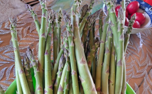 Sparanghel romanesc ECO, 300g