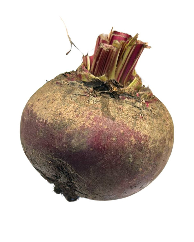 Sfecla rosie ECO, 1 buc (aprox 1Kg)
