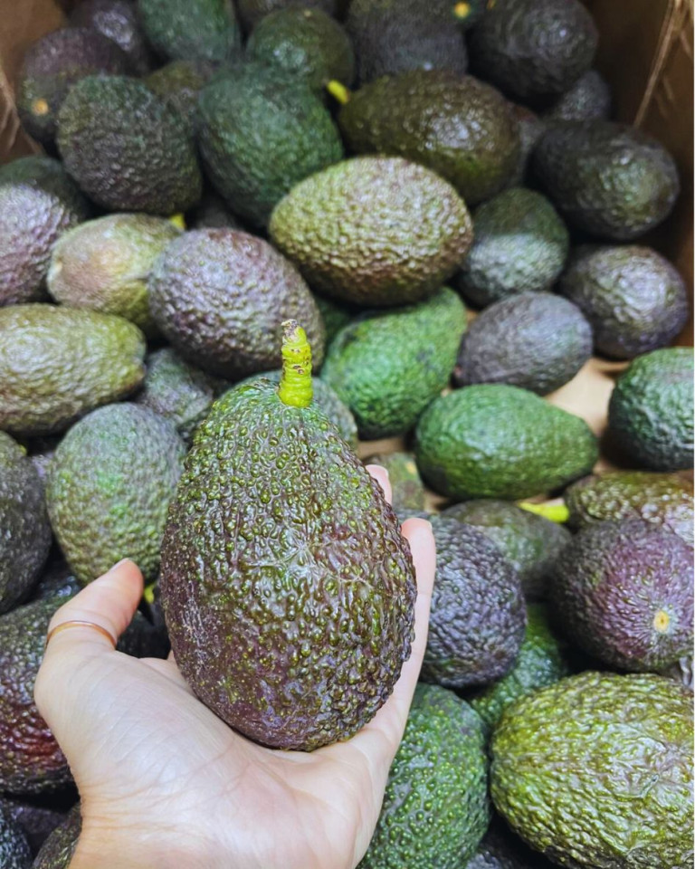 Avocado Hass Grecia,ECO, 1 Buc