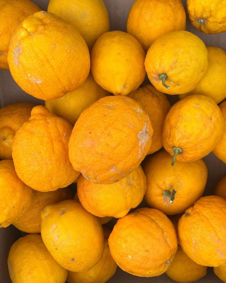 Bergamota, ECO, 400g