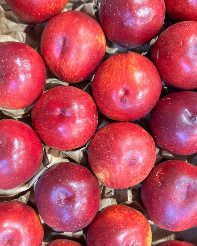 Nectarine, ECO, 4 buc