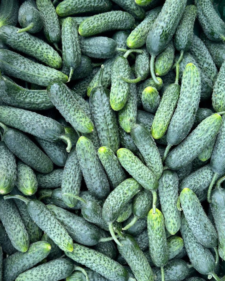 Castraveti Cornison, ECO, 500g