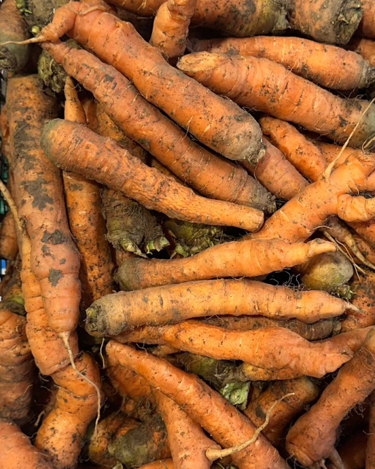 Morcovi, ECO, 500g