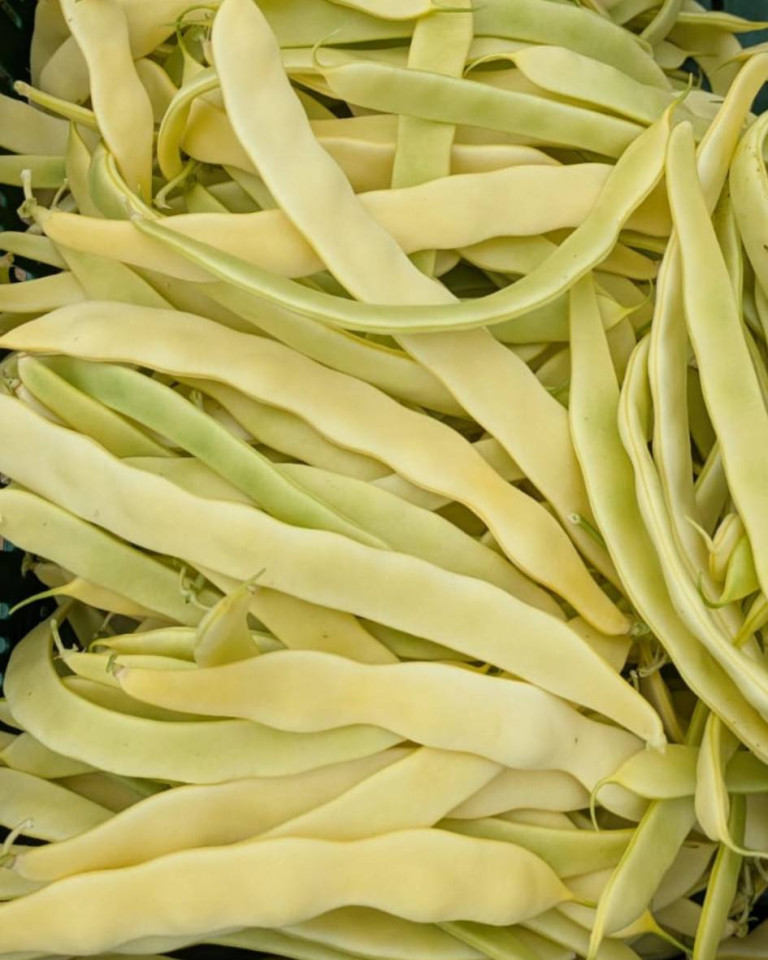 Fasole pastai, ECO, 500g