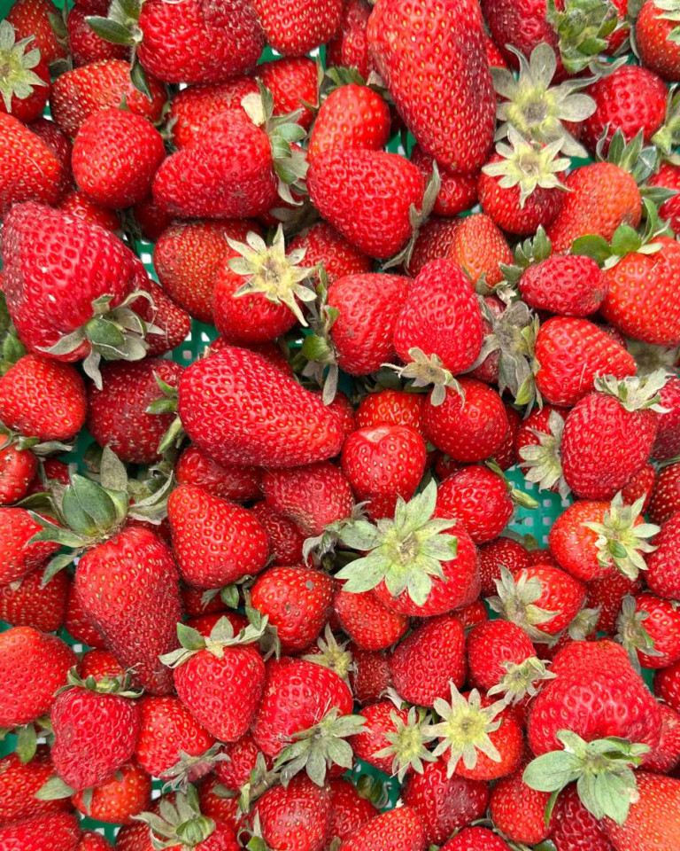 Capsuni romanesti ECO, 500g