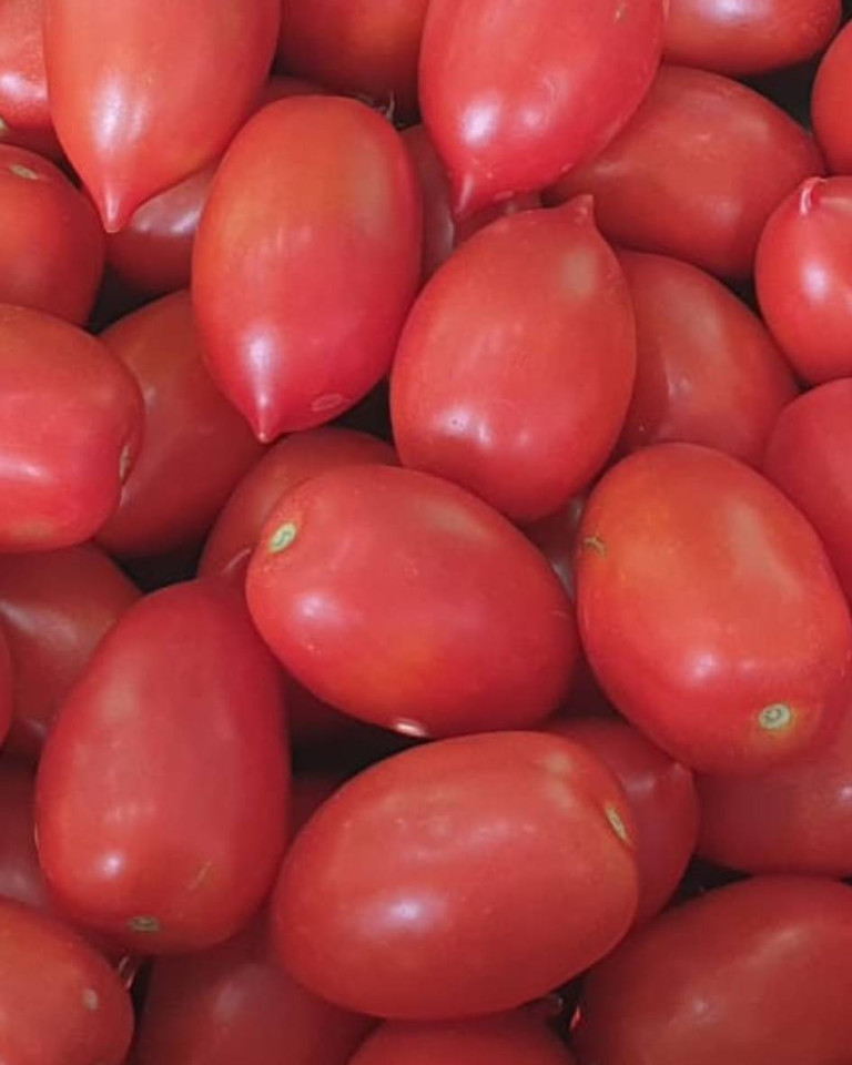 Rosii Roma, ECO, 1kg
