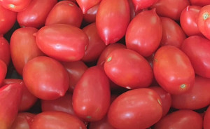 Rosii Roma, ECO, 1kg