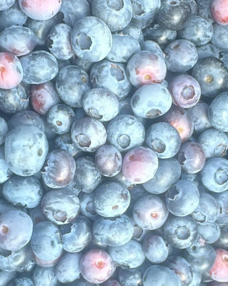 Afine romanesti soi Duke, ECO, 1kg