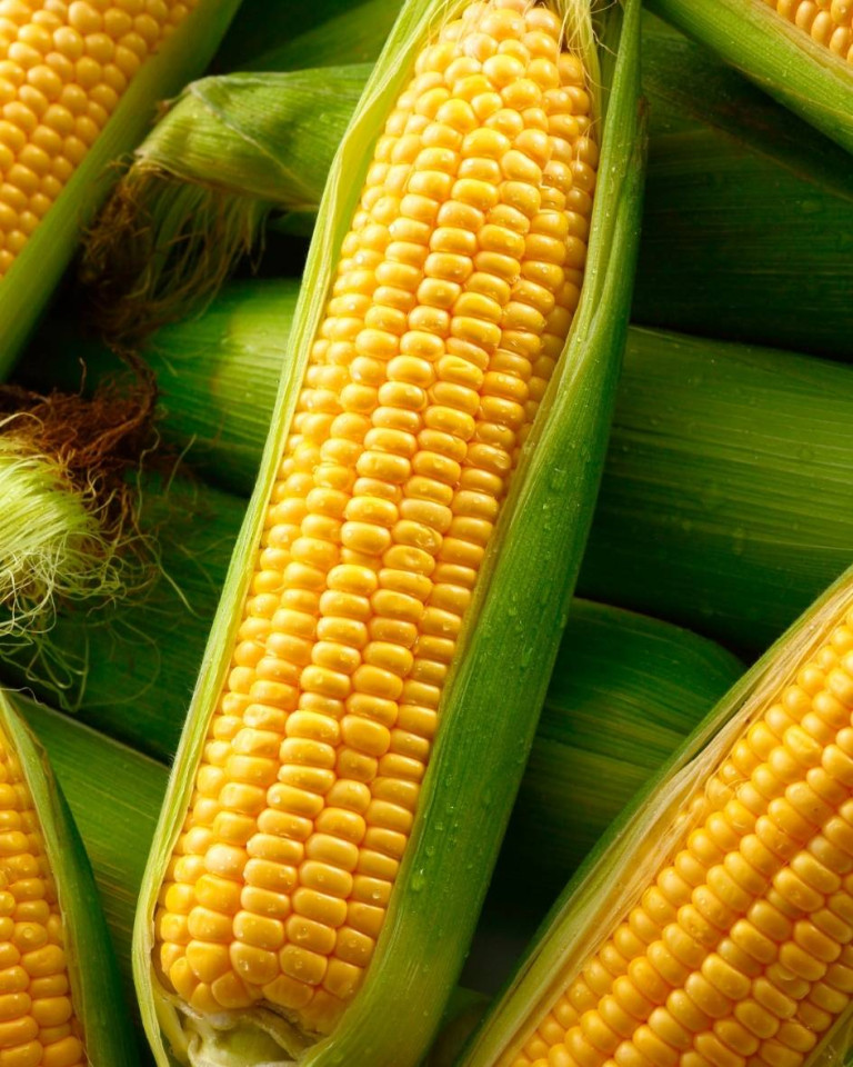 Porumb pentru fiert, ECO, 1 buc