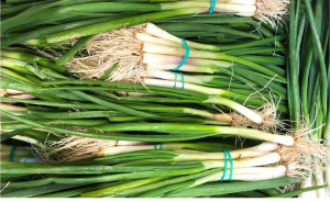 Ceapa verde, ECO, 1leg