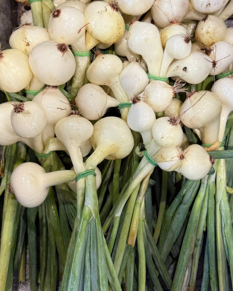 Ceapa verde, ECO, 1legatura.