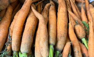 Morcovi ECO pentru gatit, deshidratat, 1kg