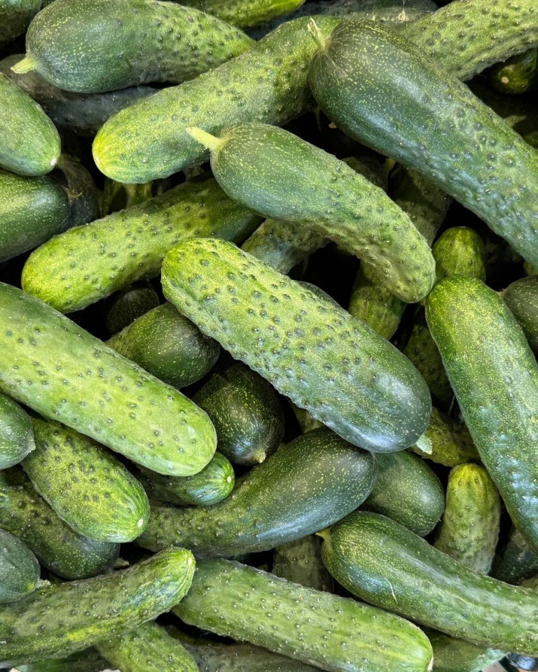 Castraveti cornichon, ECO 600g