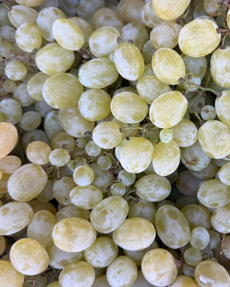 Struguri albi, ECO, 500g