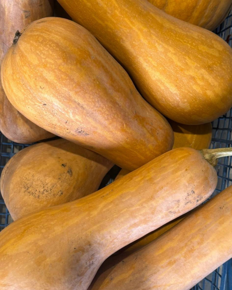 Dovleac Butternut Honey, ECO, 1buc (min 400g)