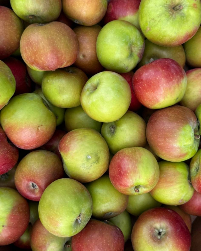 Mere Pionier, ECO, 3kg (calibru mic)