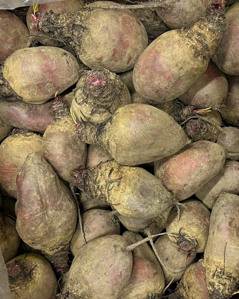 Sfecla rosie nestropita, 1buc (aprox 1kg)