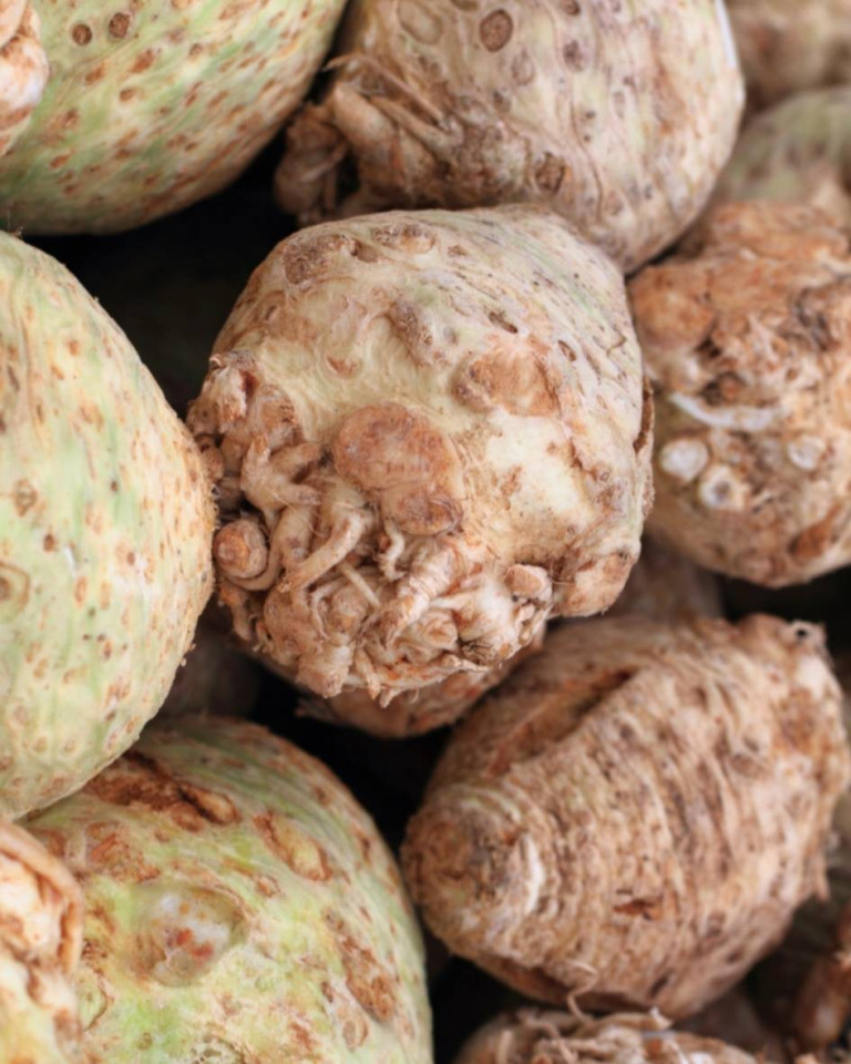 Telina de radacina nestropita, 1buc (min 400g)