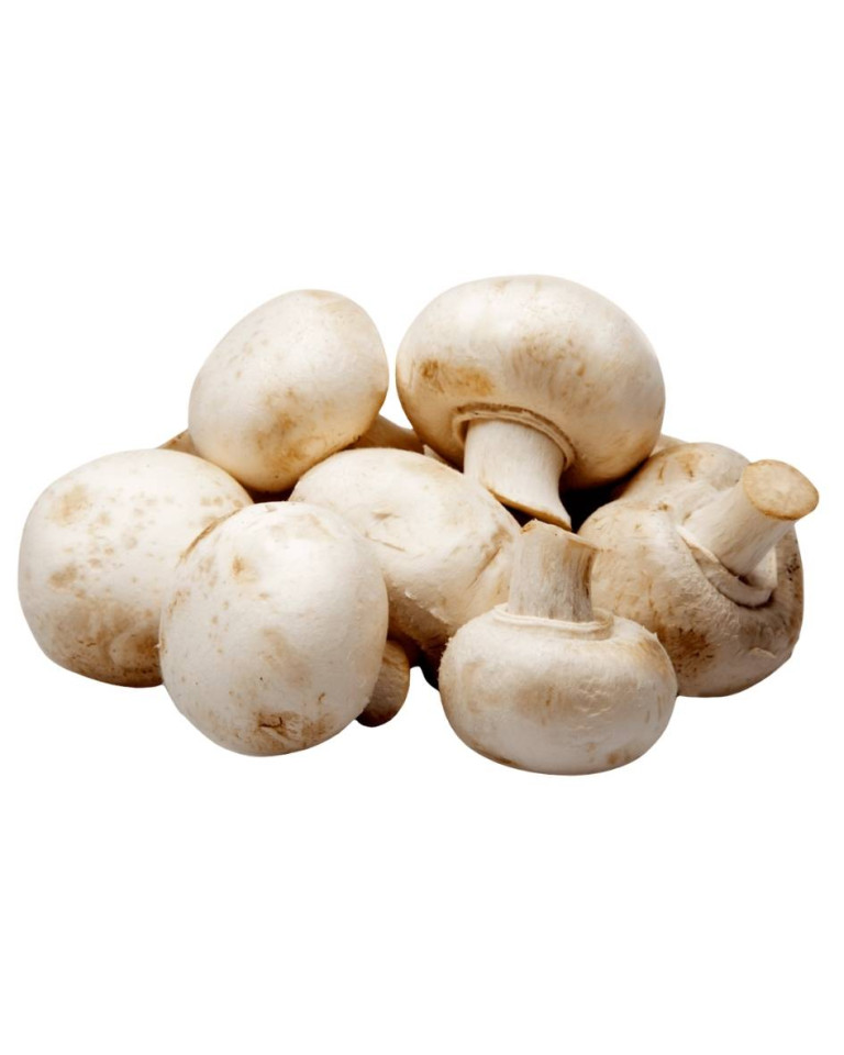 Ciuperci albe, ECO, 250g