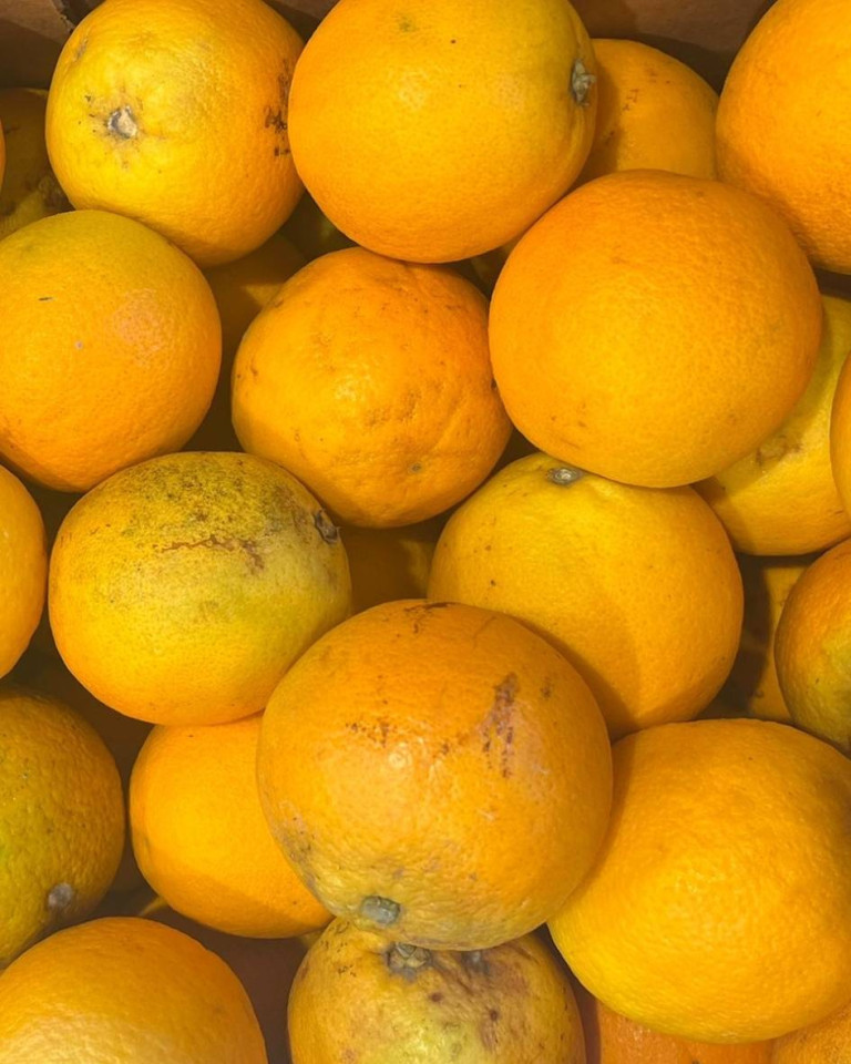 Portocale, ECO, minim 1 kg