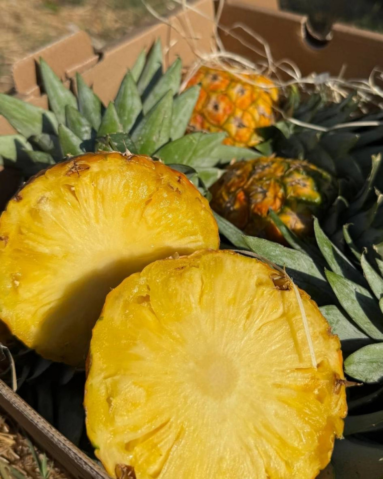 Ananas Baby, 1buc min 400