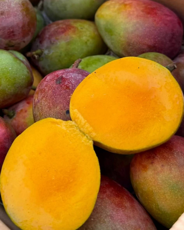 Mango Irwin, ECO, 1buc (minim 500g)