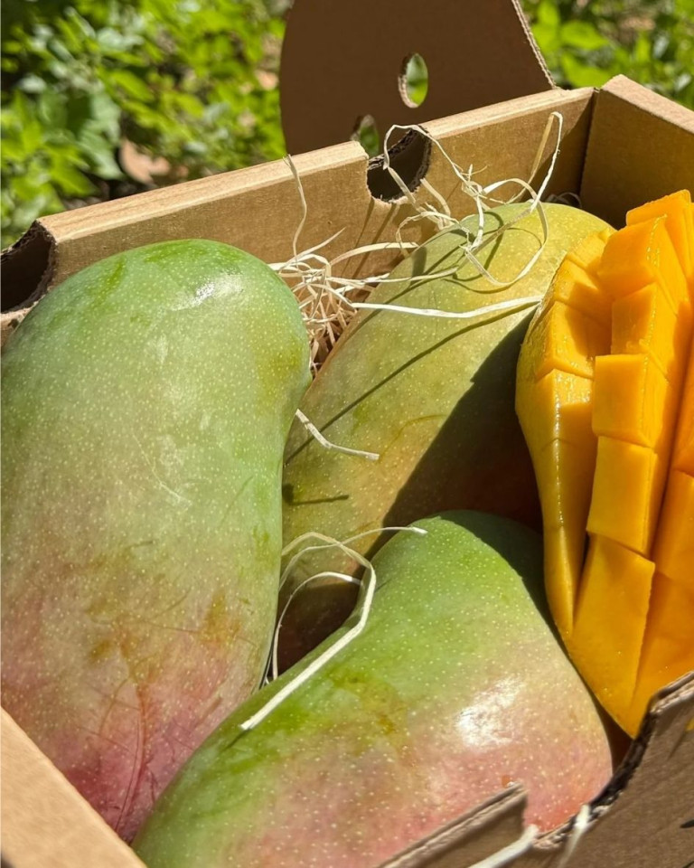 Mango Valencia pride ECO, 1 buc min 450g