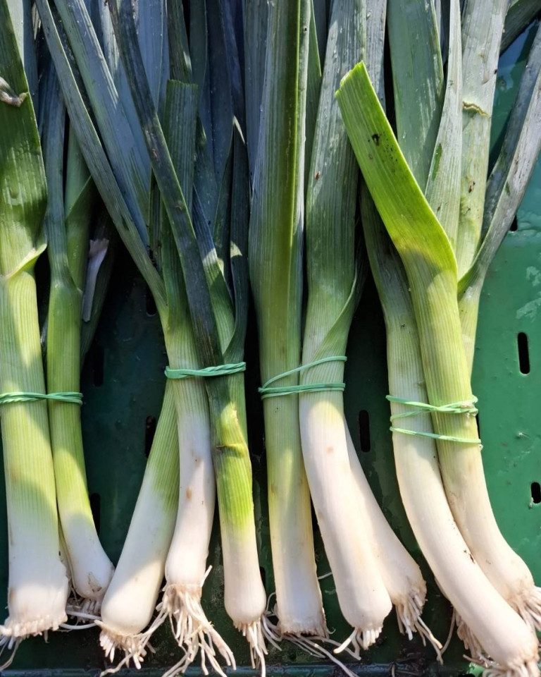 Praz verde romanesc, ECO, 1buc