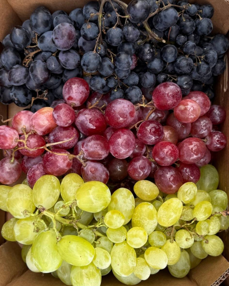 Ladita MIX de struguri, ECO, 3kg