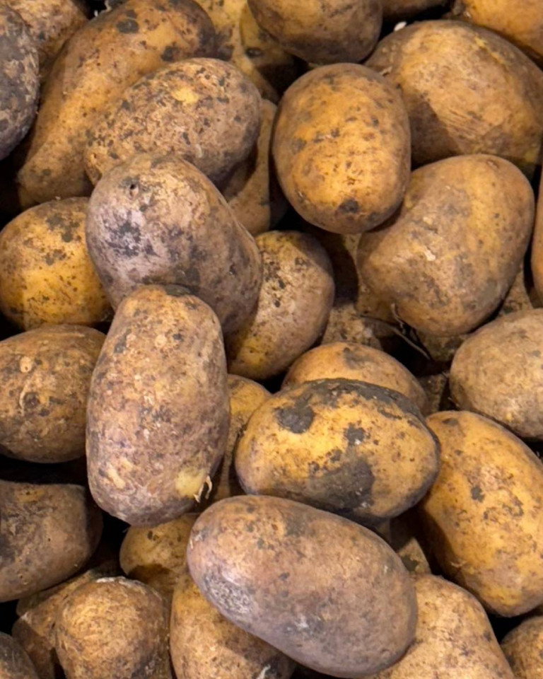 Cartofi albi, ECO, 1kg