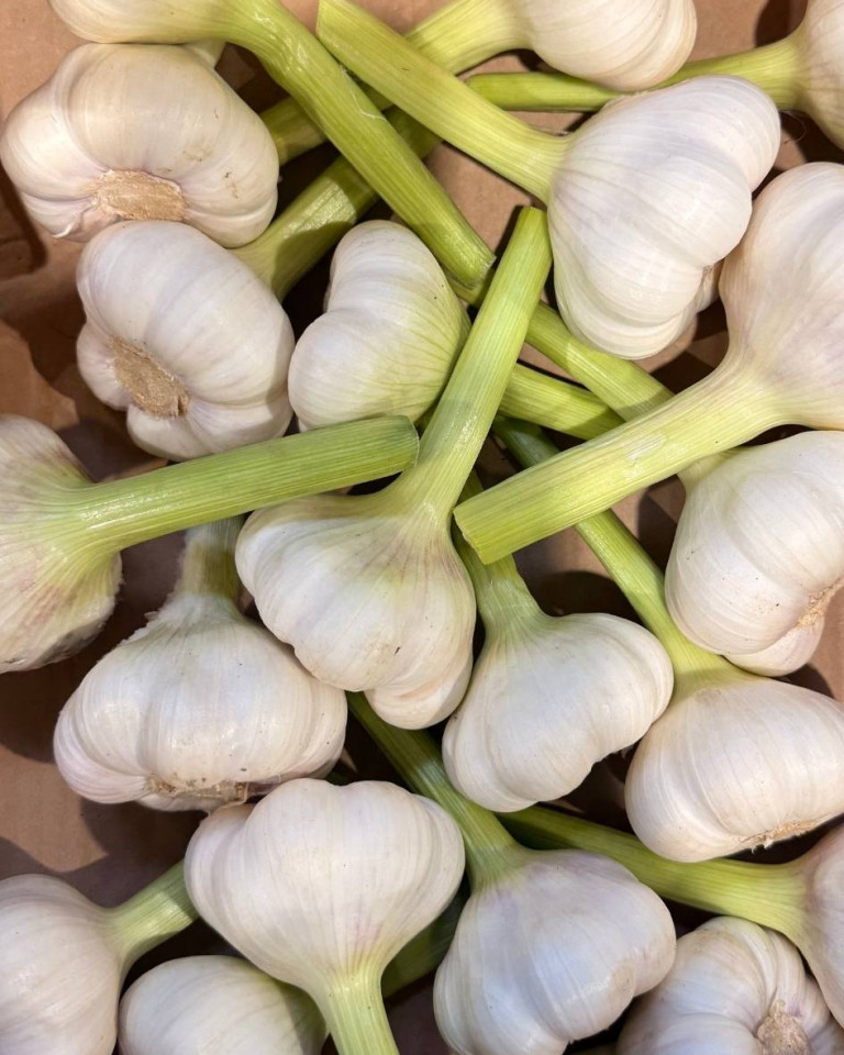 Usturoi proaspat, ECO, 200g