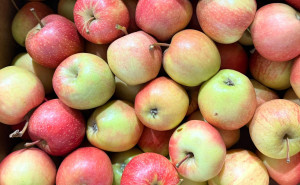 Mere Morgenduft, ECO, 1kg (calibru mic)