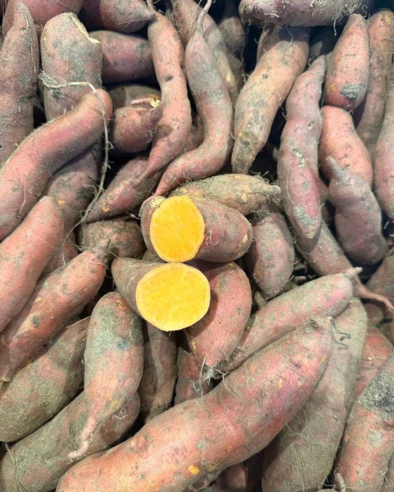 Cartofi dulci, miez portocaliu, romania,ECO, 1kg