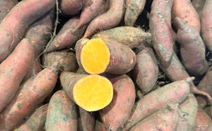Cartofi dulci, miez portocaliu, romanesti, ECO, 500g