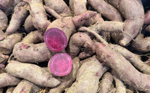 Cartofi dulci, miez mov, romanesti ECO, 1kg