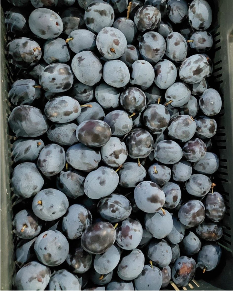 Prune, ECO, 500g