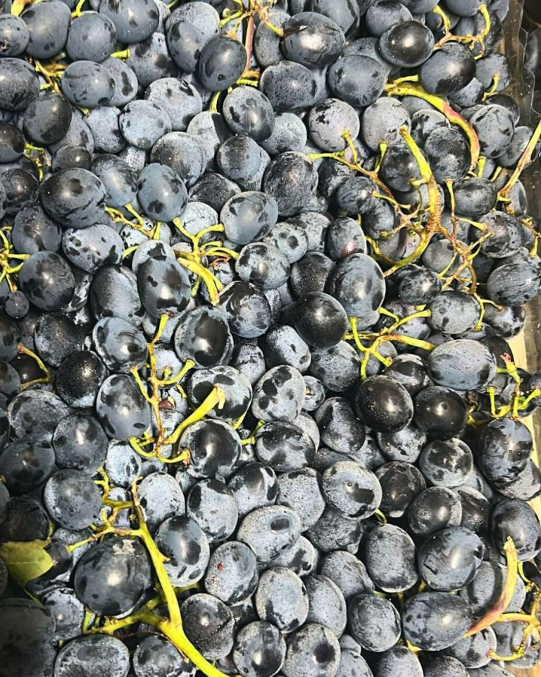 Struguri negri Muscat de Hamburg, ECO, 500g