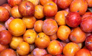 Prune galbene, ECO, 500g